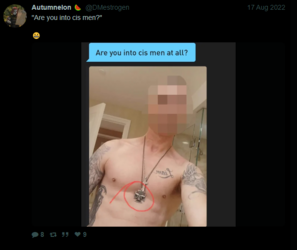 not into nazis.PNG