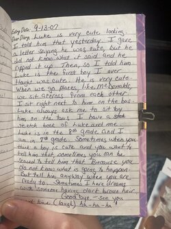 diary 20.jpg