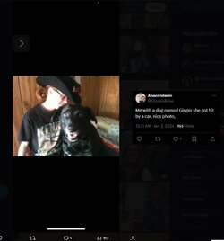 poor dog.jpg