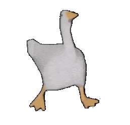 duck.gif