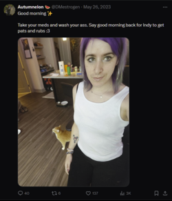 1716635973164.png