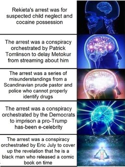 rekieta arrest reasons.jpg