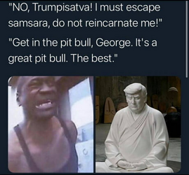 1716659596521.png