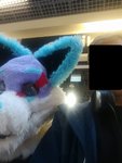 IMG_20181126_212342.jpg