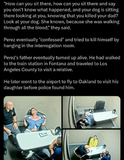 everyone-involved-should-go-to-jail-v0-m9ri897pzj2d1.png