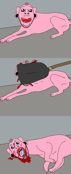 IMG_6058.png