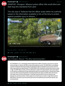 1716743593785.png