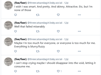 Screenshot 2024-05-27 at 16-23-23 (fae_faer) (@threecatsandagirl.bsky.social).png