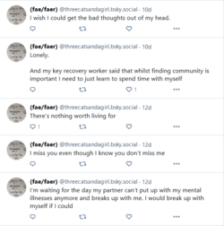 Screenshot 2024-05-27 at 16-23-09 (fae_faer) (@threecatsandagirl.bsky.social).png