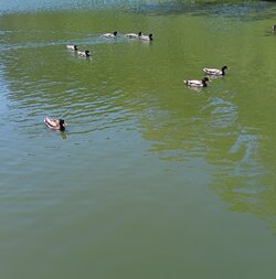 20240515_123206.jpg