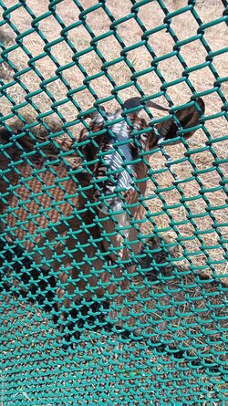 20240526_122749.jpg