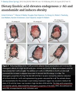 LA-induced obesity.jpg LA-induced obesity.jpg