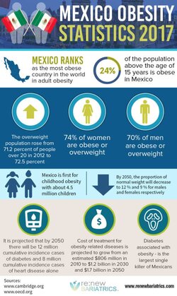 infographic04new-611x1024 (1).jpg