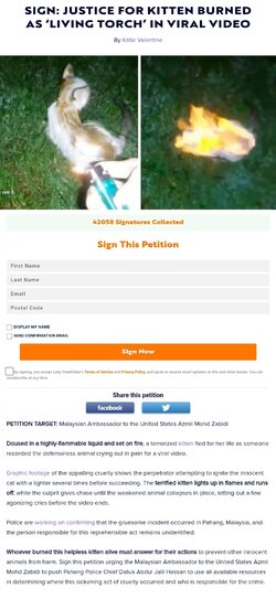 Screenshot_20240527_233605_Brave.jpg