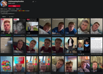 2024-05-28 - 03_32_37 - Kieffer sutton (@minieupdepisodes) _ TikTok.png
