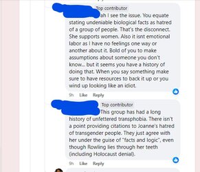 handmaidens 3.jpg