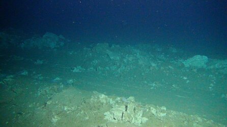 deepseabedmi.jpg