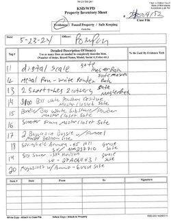 balldo pen_Page_10.jpg