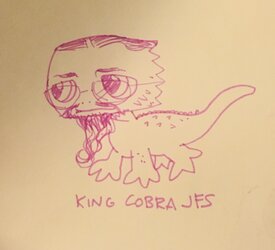 IMG_0117.jpeg
