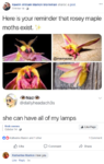 10.png