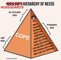 maslows hierarchy rekieta noseguards ver.jpg