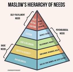 maslows hierarchy.jpg