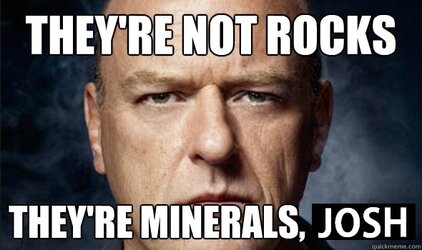 not rocks.jpg