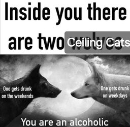 1000004758.jpg