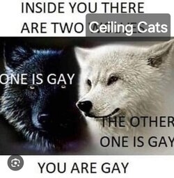 1000004759.jpg