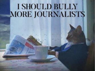 bully more journalists.jpg