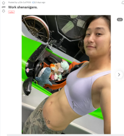 Screenshot 2024-05-29 at 13-20-02 r_Transcars - NSFW Work shenanigans.png