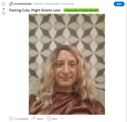 Screenshot 2024-05-29 at 13-17-55 Robyn Right (u_RobynRight) - Reddit.png