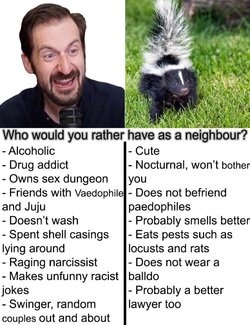skunk.jpg