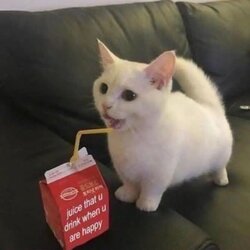 happy juice.jpg