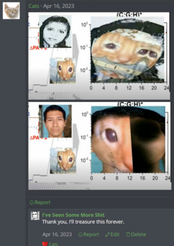 1717017869025.png