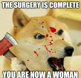 1717019871459.png