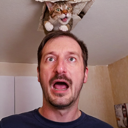 ceiling cat.png