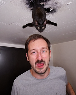ceiling cat 3.png