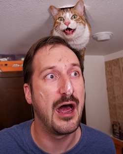 ceiling cat 2.png