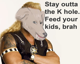 Dog-dog-the-bounty-hunter-1852385-1280-1024 copy.jpg