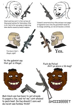 Gun bans in a nutshell.jpg