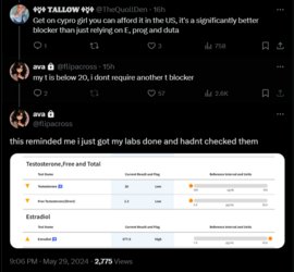 FireShot Capture 1871 - ava (@flipacross) _ X - twitter.com.png
