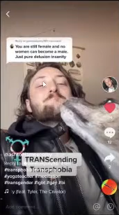 TikTok 3.png
