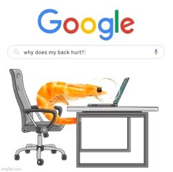 shrimp back hurt.jpg