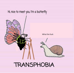1717162459752.png