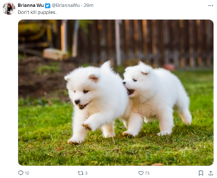 pup.png