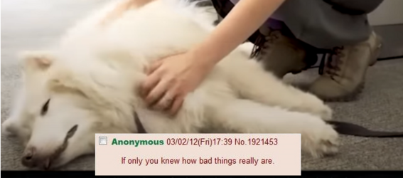 ifyouonlyknewdog.png