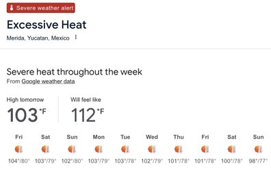 41C36FC0-4D1F-44A7-BB73-E9F883EA4684.jpeg