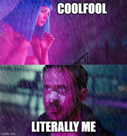 1717213289850.png