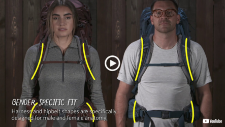 gender specific anatomy